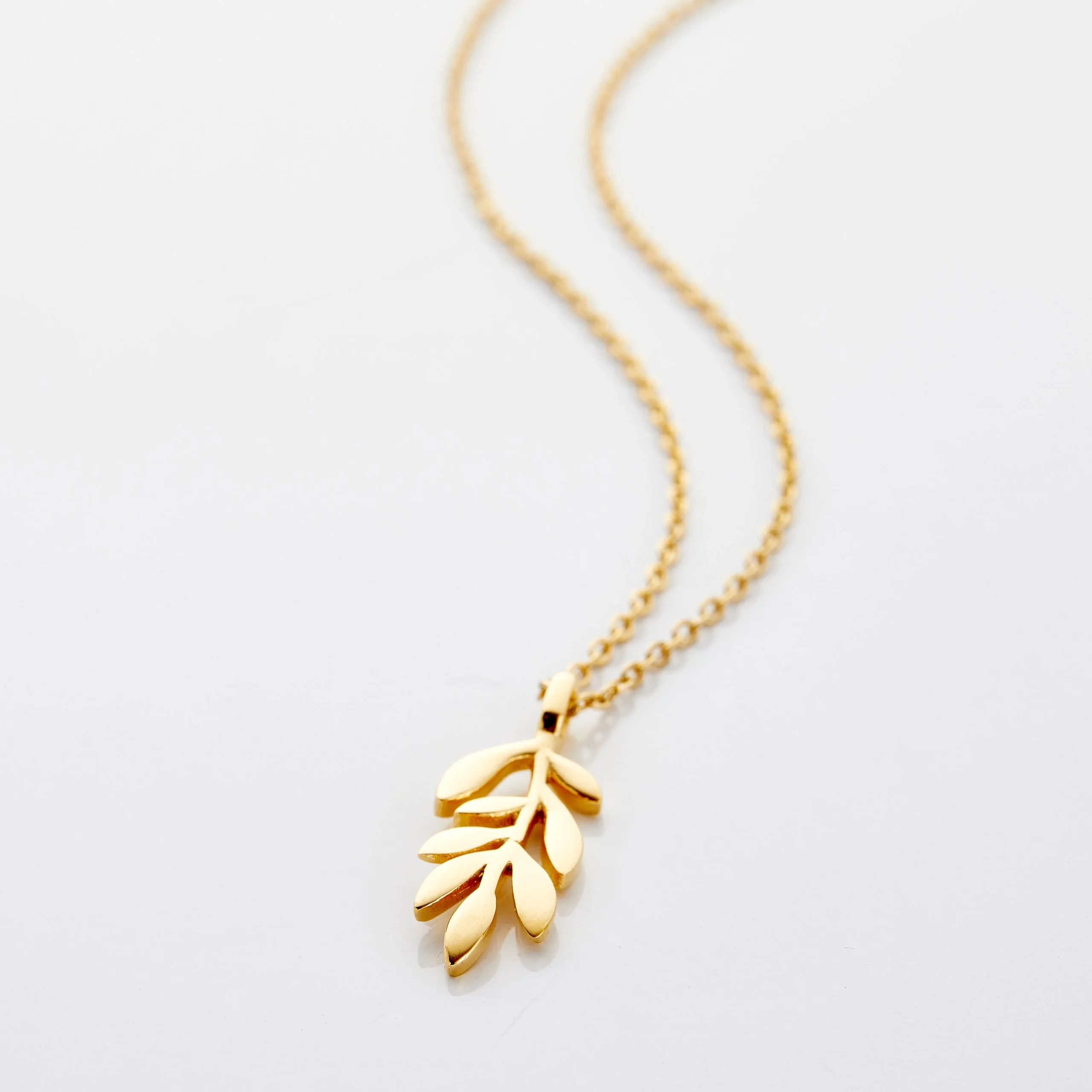 Collier de branche d'olivier de Palestine